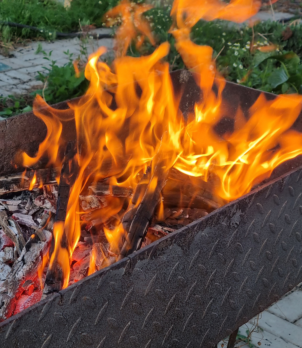 Планы - просто ОГОНЬ! © Фото: Зеленая леди: сад, семья и томатный сок