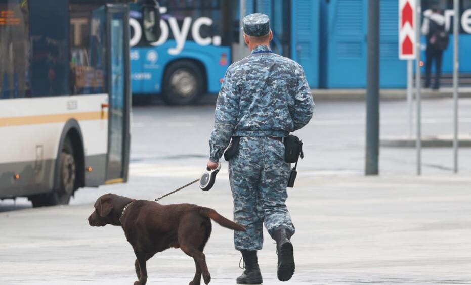    Наталья Шатохина/NEWS.ru