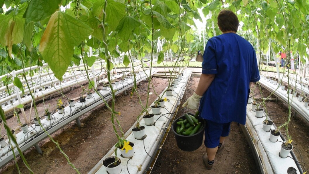    Фото: Царьград