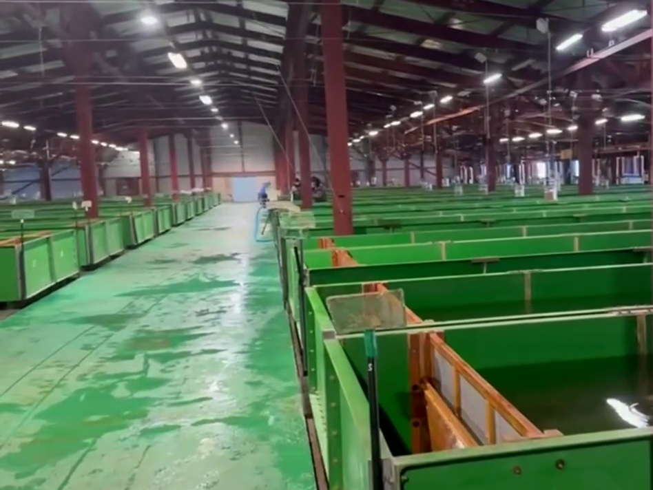 Кадр из видеоотчёта