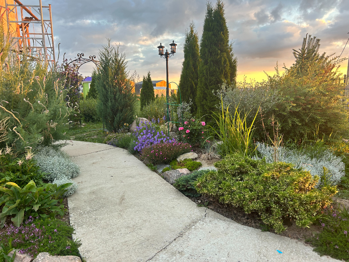 топим за красоту