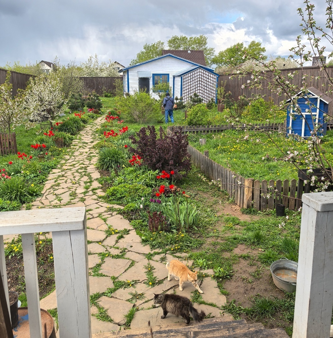 Солнечно, но очень холодно. В такую погоду только неугомонный Дед может работать на улице