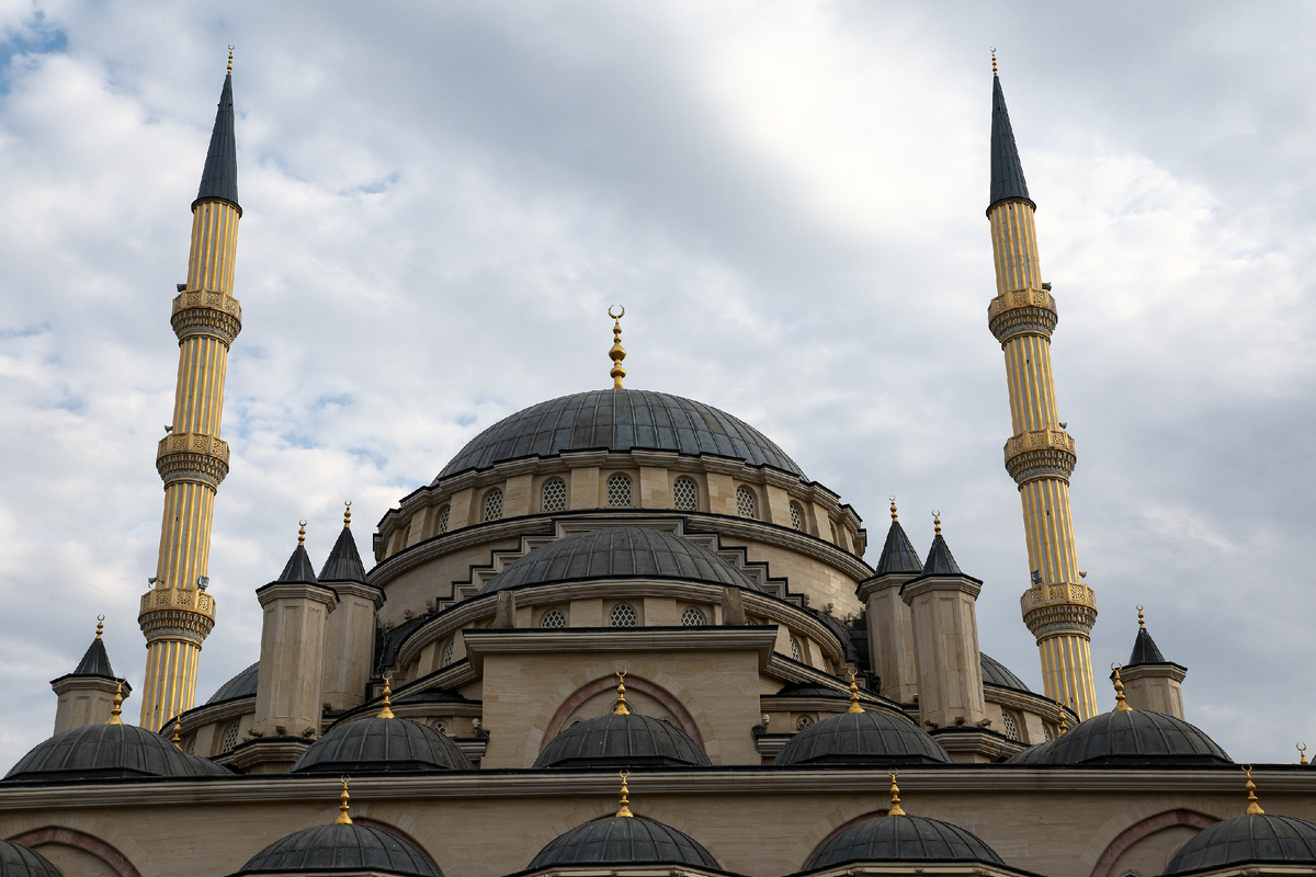 Фото: Сергей Булкин/ТАСС