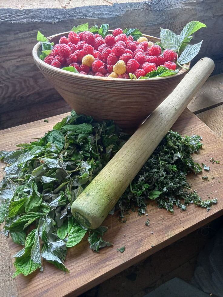 Листики малины, собранные с разных веток, чтобы не навредить здоровью кустов