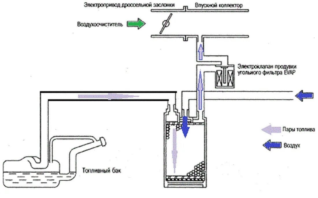 Принцип работы адсорбера в системе