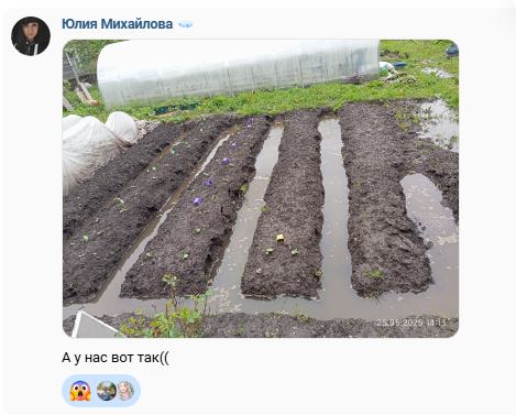 фото от подписчицы