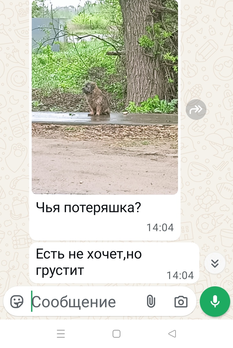 Скрин автора