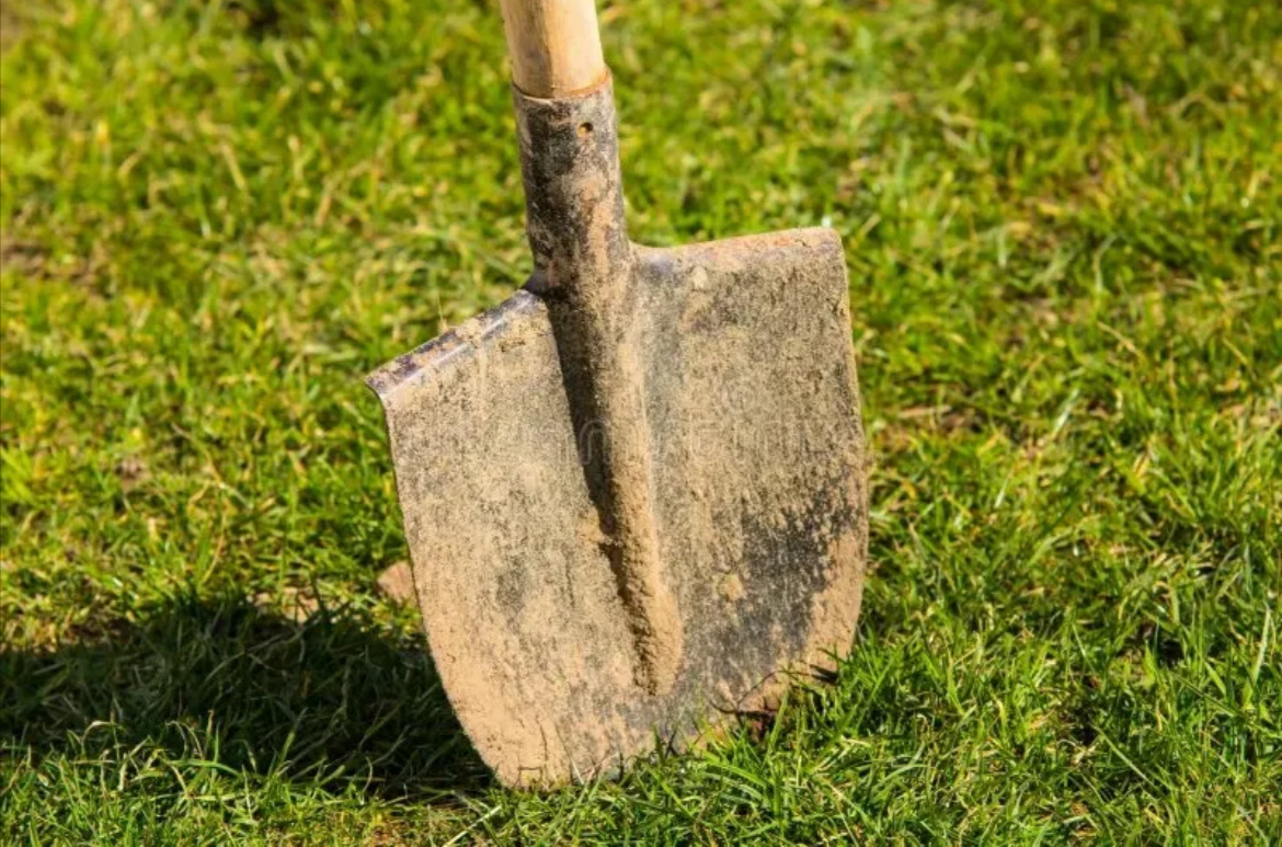 В два раза больше сорняков хотя я их просто перекопал разок 😱