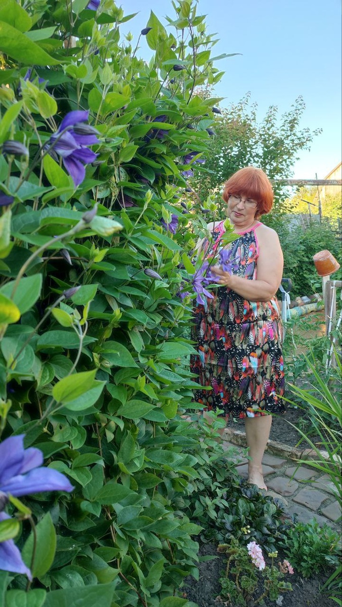 Фото автора