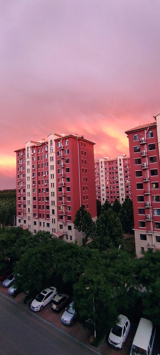 Вид из окна. 