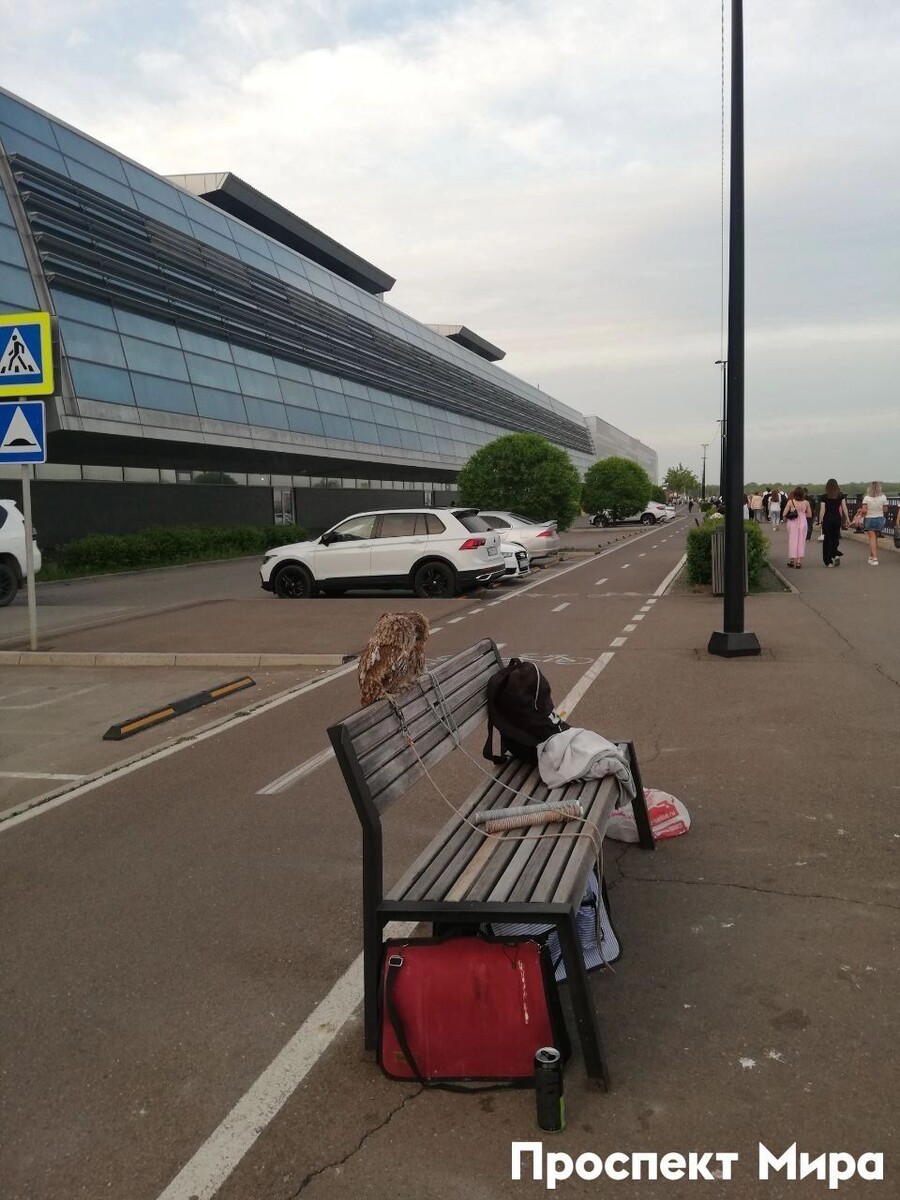     Источник: prmira.ru