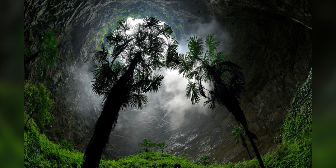 Гигантская воронка с древним лесом на дне