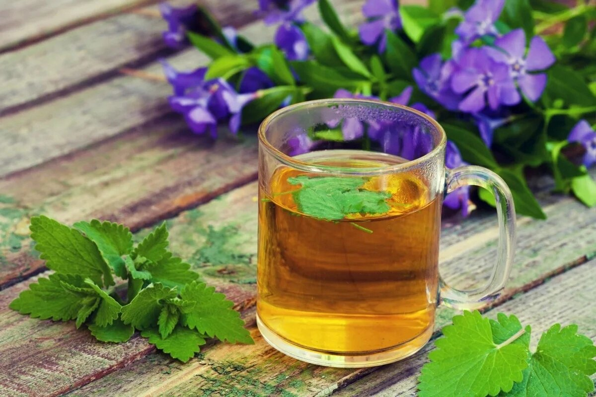 Что может быть лучше чая с мелиссой?