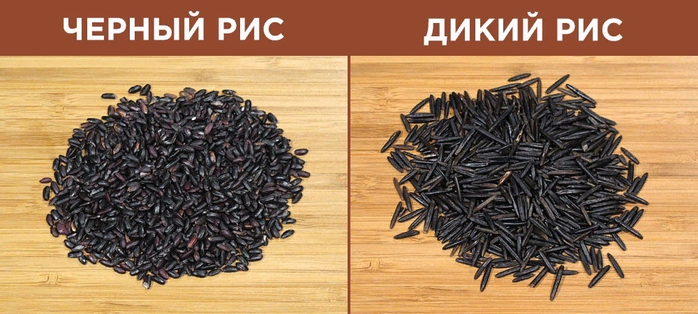 Теперь вы точно сможете различить чёрный и дикий рис