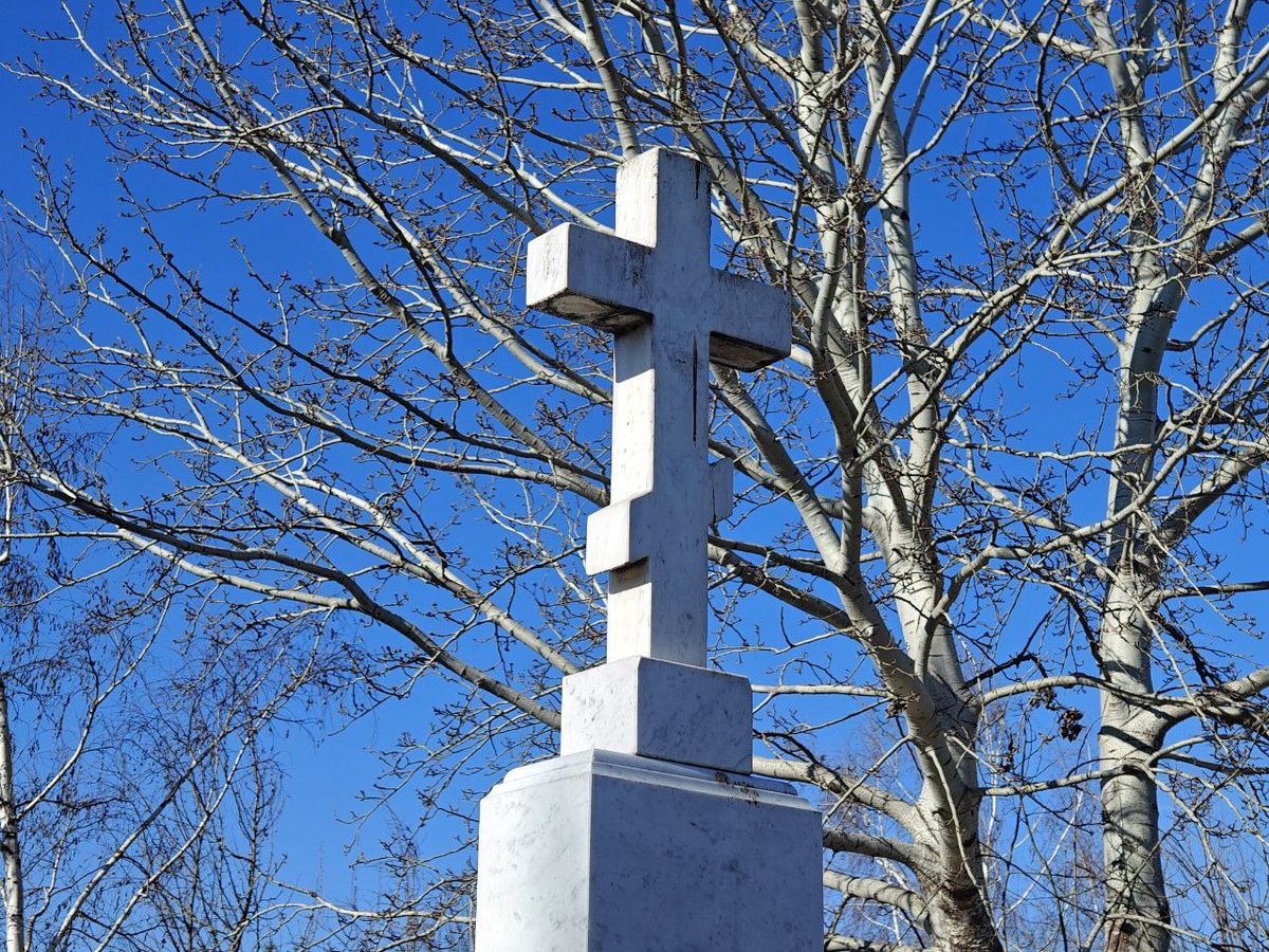    Фото: Юрий Серебренников/BFM Кубань