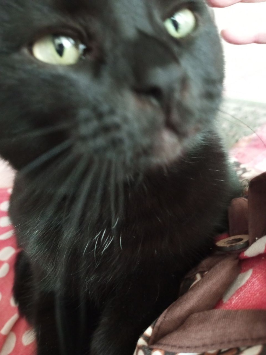  Извольте-с штраф!