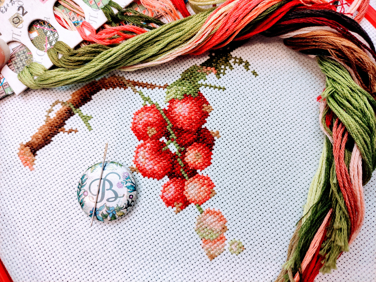 старт Красной смородины