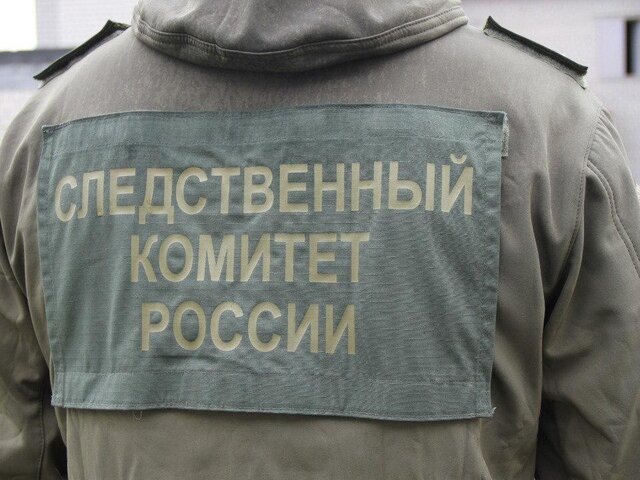    Фото: телеграм-канал "СУ СК России по Рязанской области"