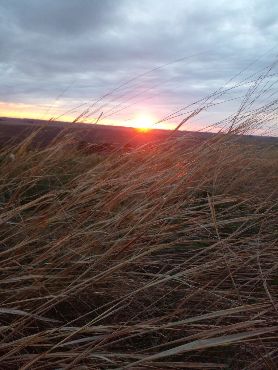 авторское фото энциклопедия алтая