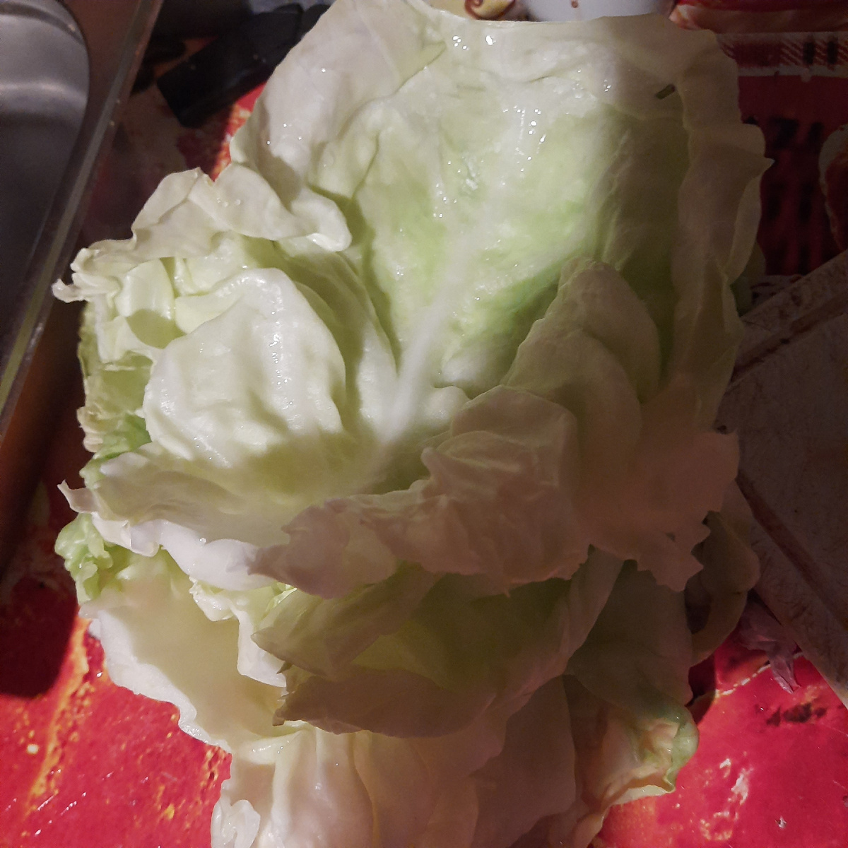 Снимаем листья и обрезаем прожилки снаружи