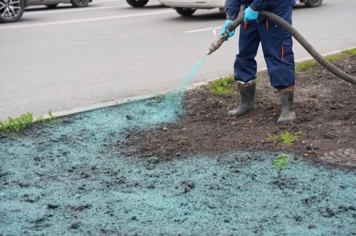    Мэр Тюмени ответил за «покраску газонов»