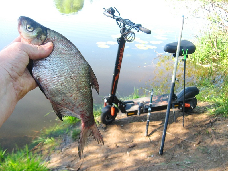 Быстро довёз до места и вовремя