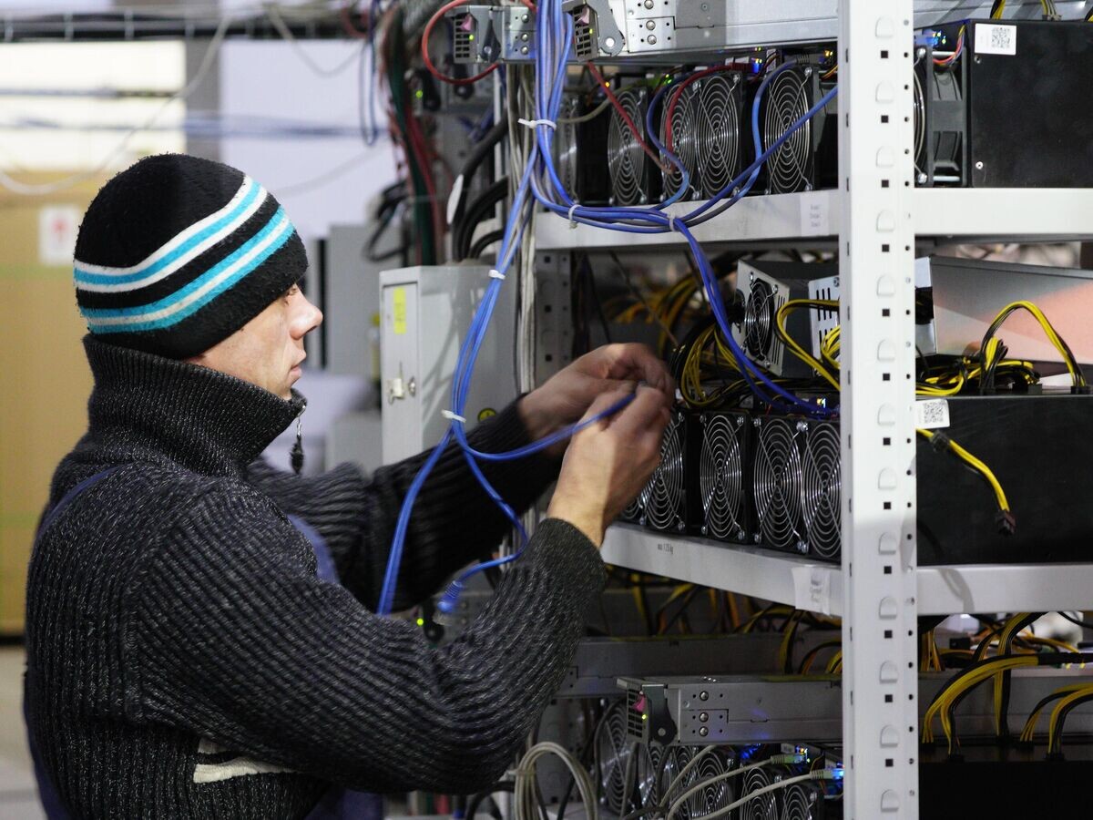    Сотрудник возле стеллажей с фермами для майнинга криптовалют© РИА Новости / Владимир Астапкович