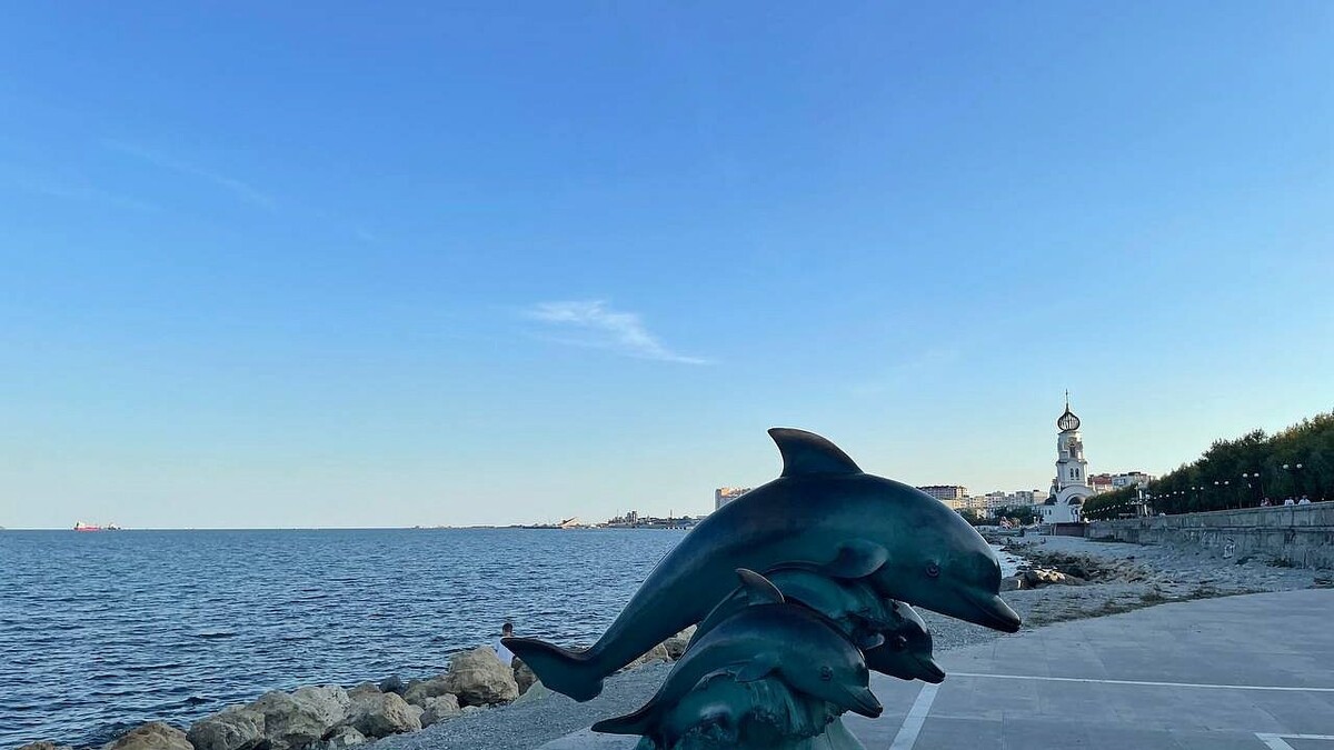    Фото: телеканал «Краснодар»