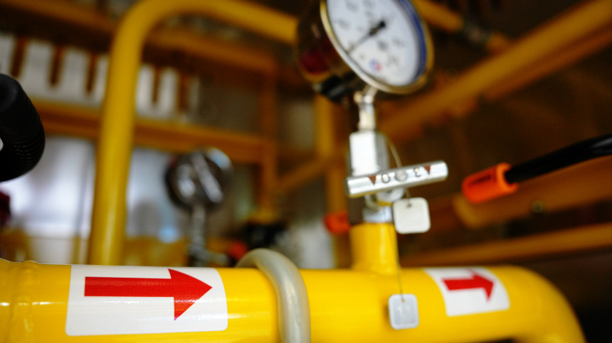    Фото: ИЗВЕСТИЯ/Дмитрий Коротаев