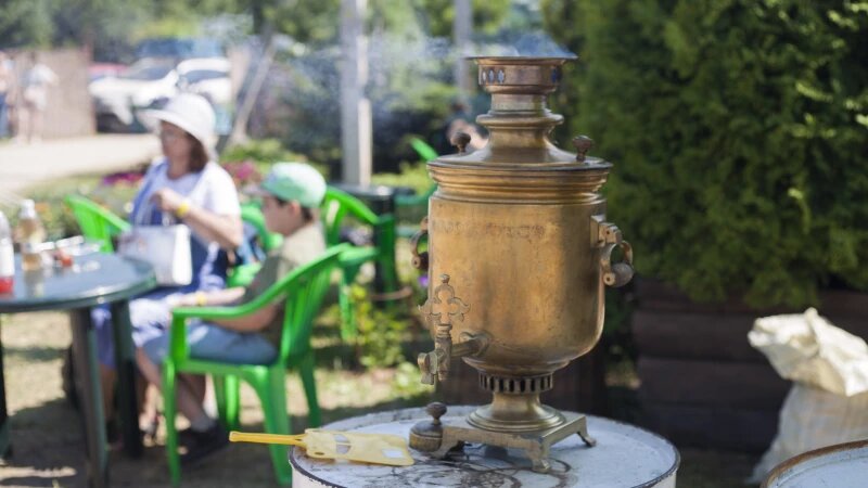     Фестиваль "Ах! Фест" в селе Алтайское Алтайского края. Дарья Беркетова