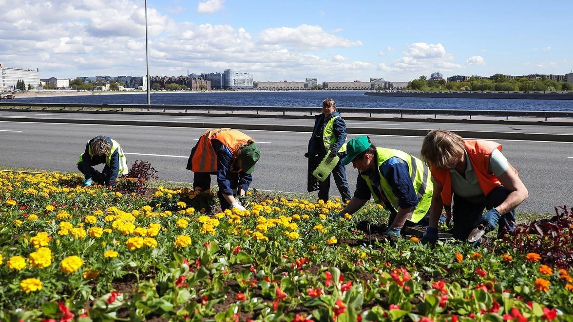    Фото: пресс-служба комитета по благоустройству Санкт-Петербурга