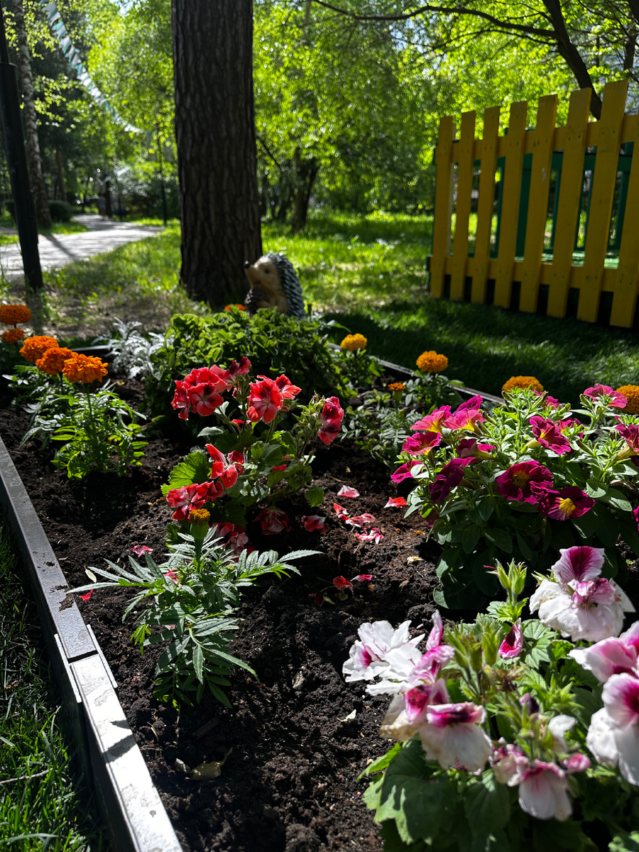 Люблю лето, клумбы, фонтаны, мороженое, веранды ресторанов и кафе, долгие прогулки до темна, легкие платья, юбки и брюки, и просто наслаждаюсь тем, что больше не нужно прятать лицо в огромный шарф и вжимать голову в плечи, спасаясь от холодного ветра и метели.