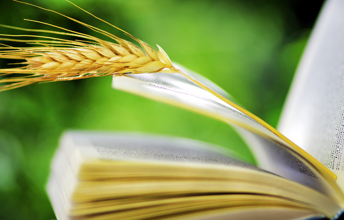 @inacio pires/Shutterstock.com