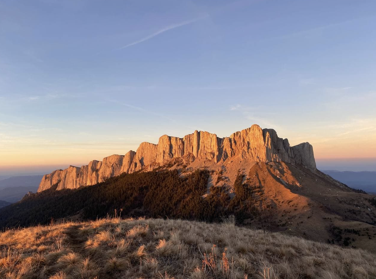 Фото: www.ru.wikipedia.org