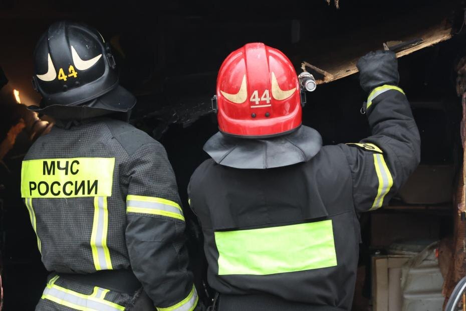    Алексей Белкин/NEWS.ru