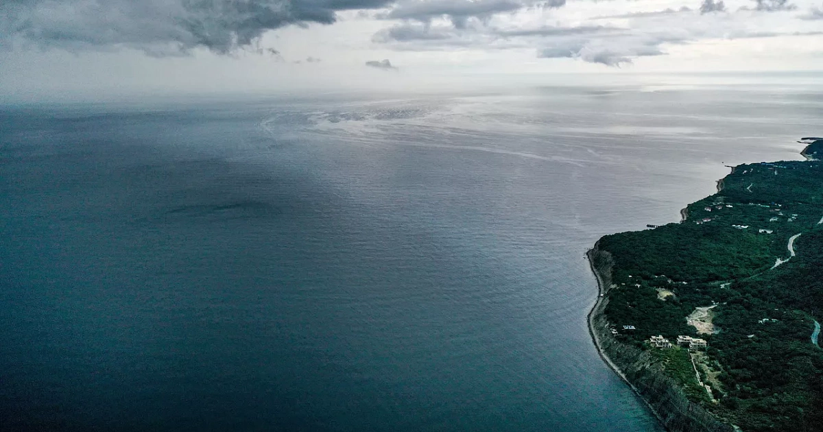 Фото: Виталий Тимкив / РИА «Новости»