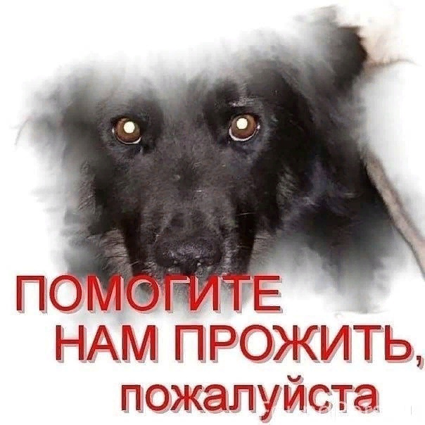 Фото из интернета