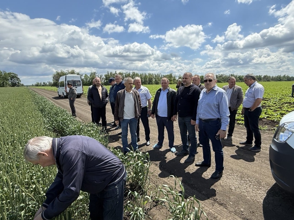     Влагосберегающие технологии крайне важны в засушливых условиях

