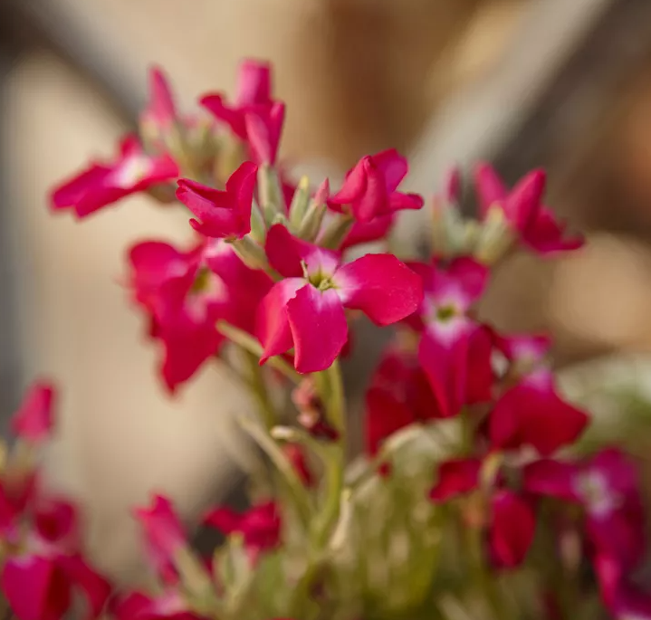 Фото Марти Болдуина