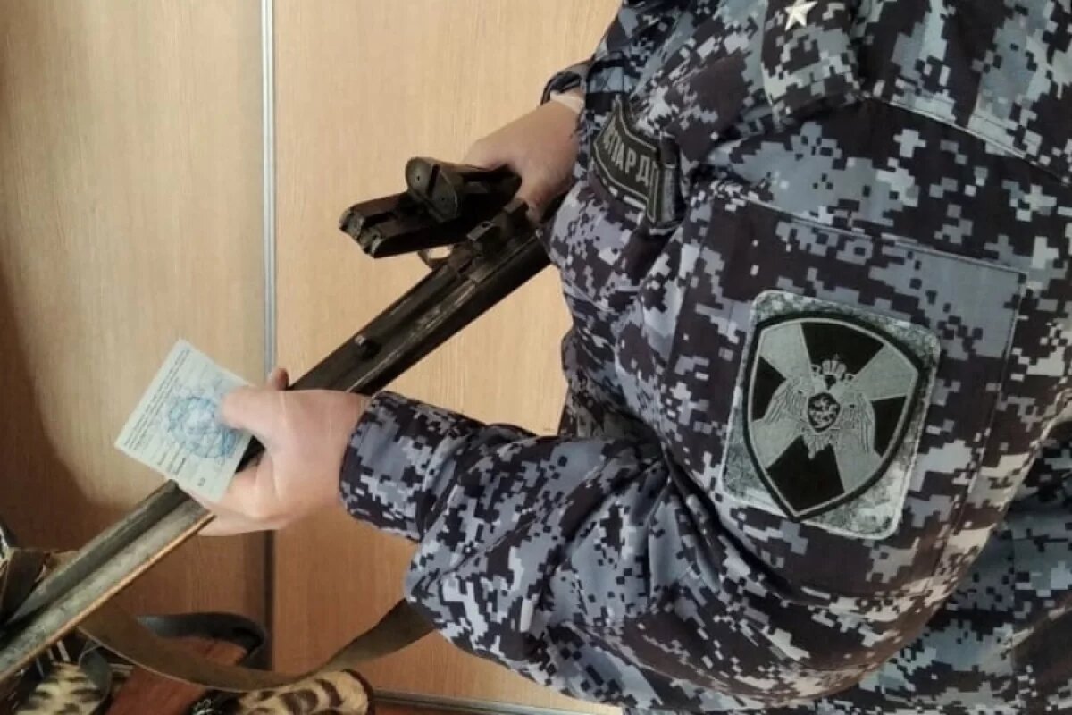    Еще 20 единиц оружия изъяли росгвардейцы у жителей Псковской области