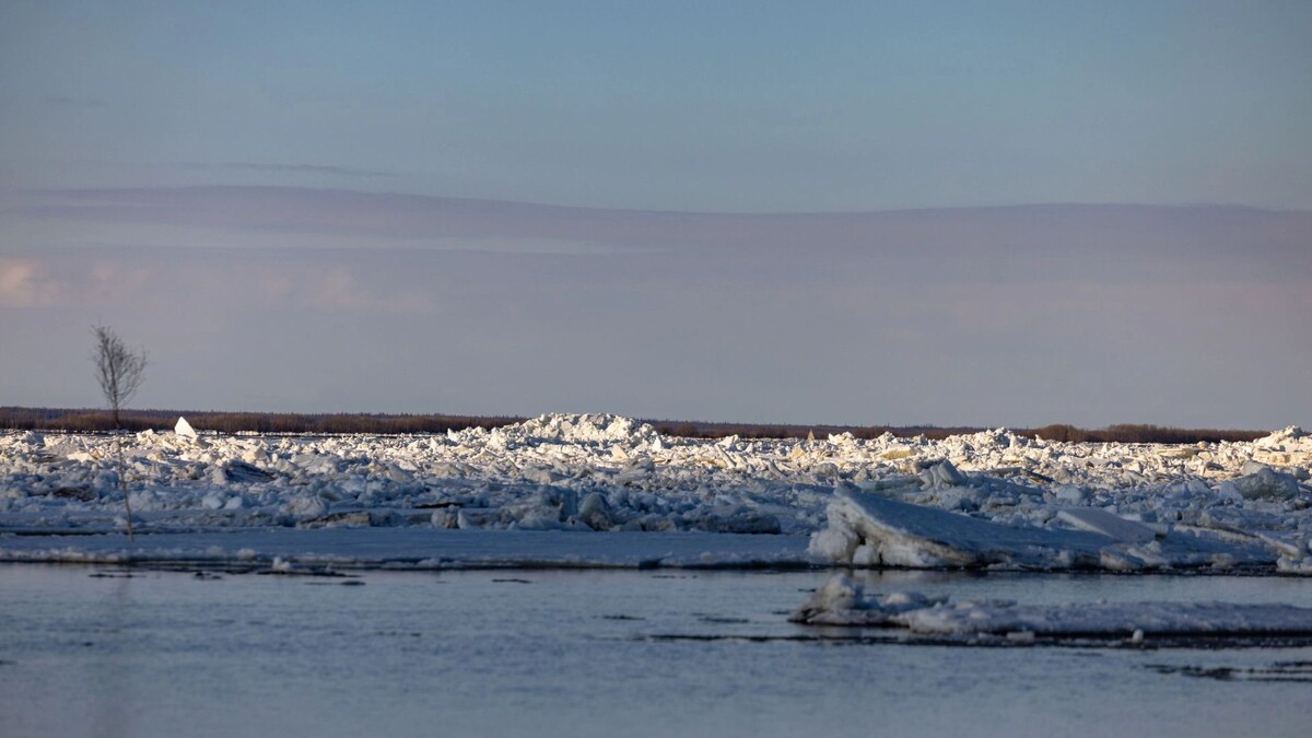    Фото: Сергей Зубков/«Ямал-Медиа»