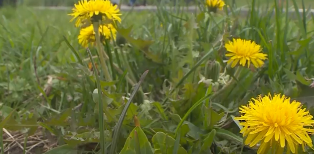     В Красноярск идёт серьезное похолодание до -2 градусов