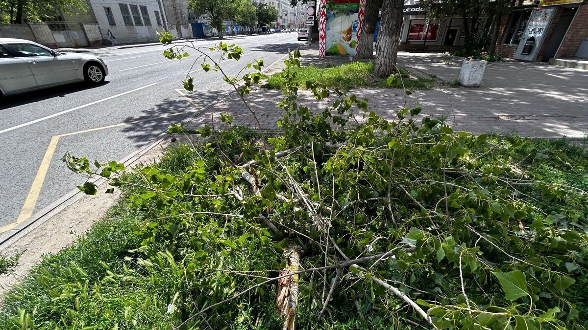     Источник: rostovgazeta.ru