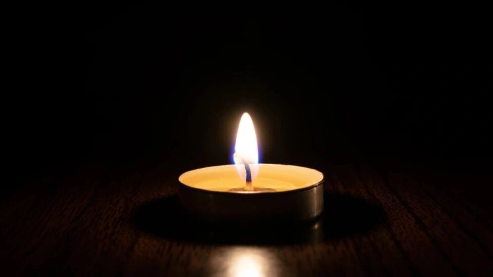    Фото: Dmitriy Yermishin/Shutterstock/Fotodom