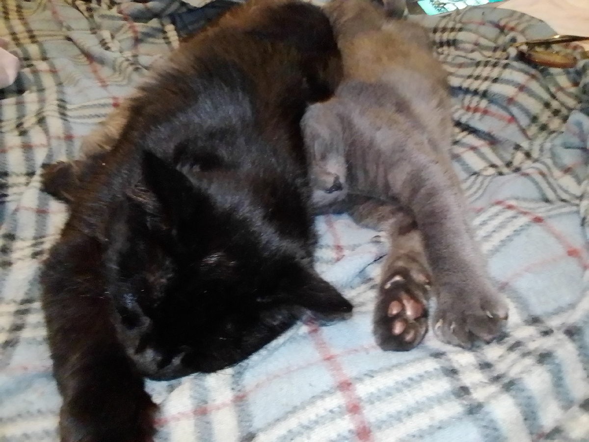 В полном отрубе.