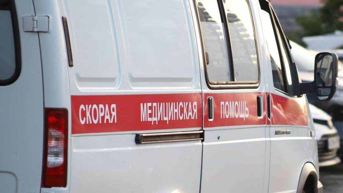 Фото: Елена Майорова