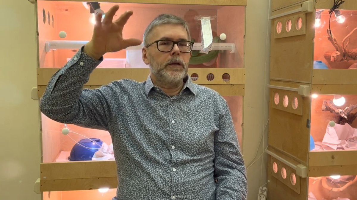 ����� ������ ����� ��� ��� ������������ � ��� ����� ������, ������� ������������ ������������ �����.