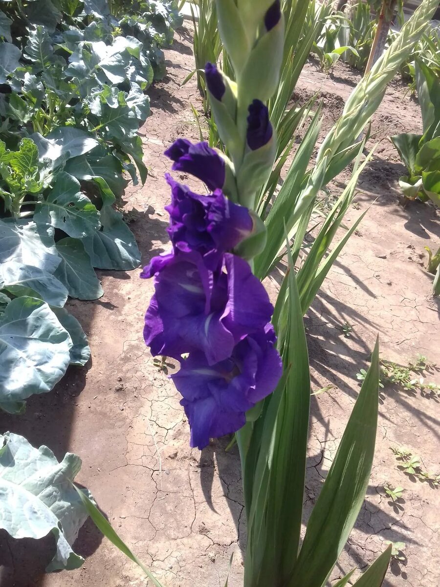 Фото из личного архива 2020 г