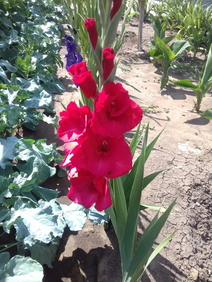 Фото из личного архива 2020 г