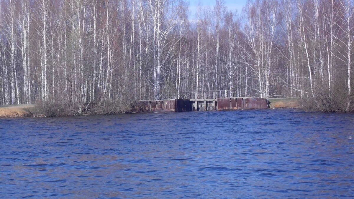    Кировград, городской пруд. Фото: Дмитрий Латкин/google.com/maps